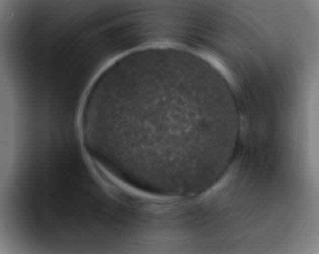 X0000093091046200710031808