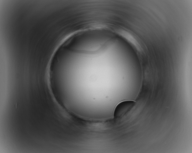 X0000093091047200710031808