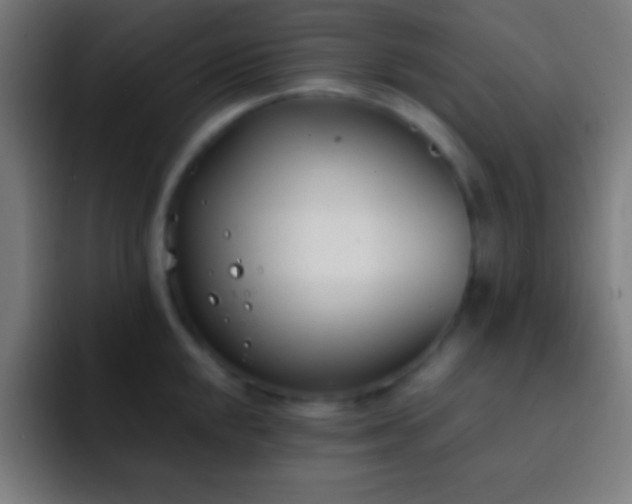 X0000093091048200710031808