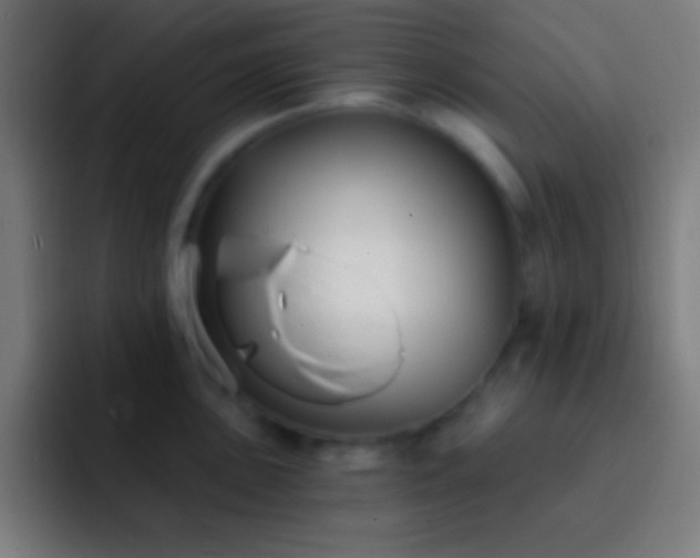 X0000093091051200710031808