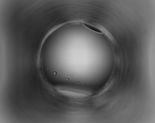 X0000093091052200710031808