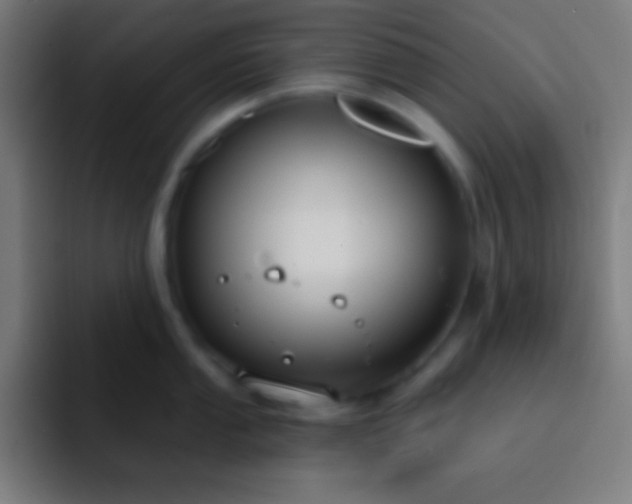 X0000093091053200710031808