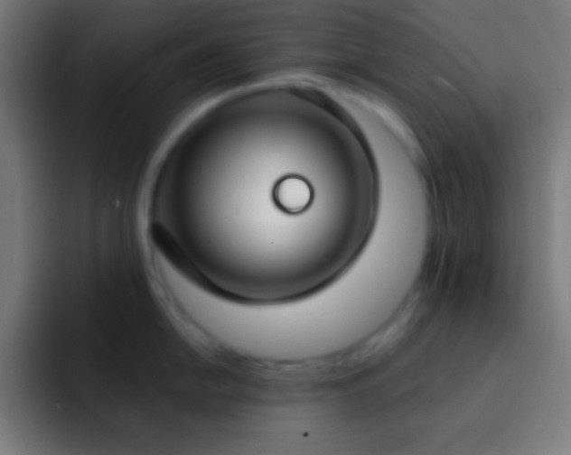 X0000093091054200710031808