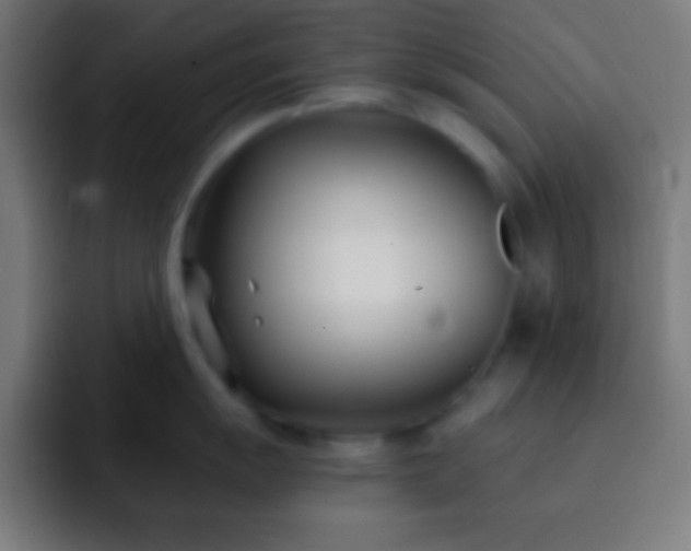 X0000093091055200710031808