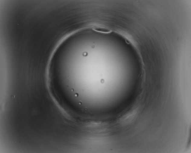 X0000093091056200710031808