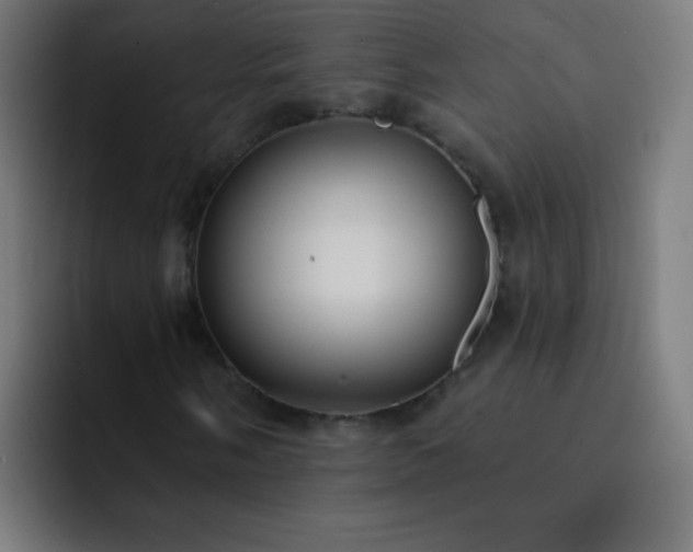 X0000093091058200710031808