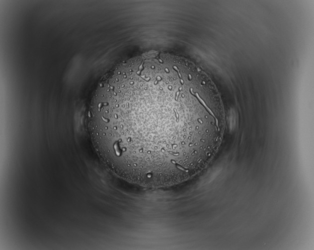 X0000093091059200710031808