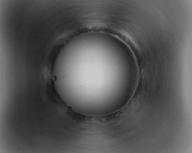 X0000093091063200710031808