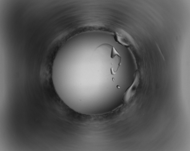 X0000093091064200710031808