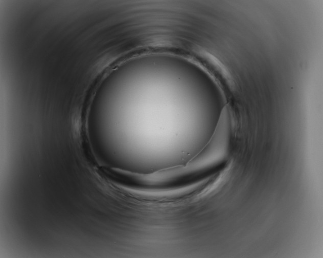 X0000093091065200710031808