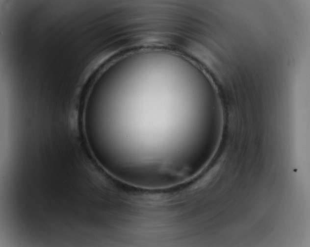 X0000093091066200710031808