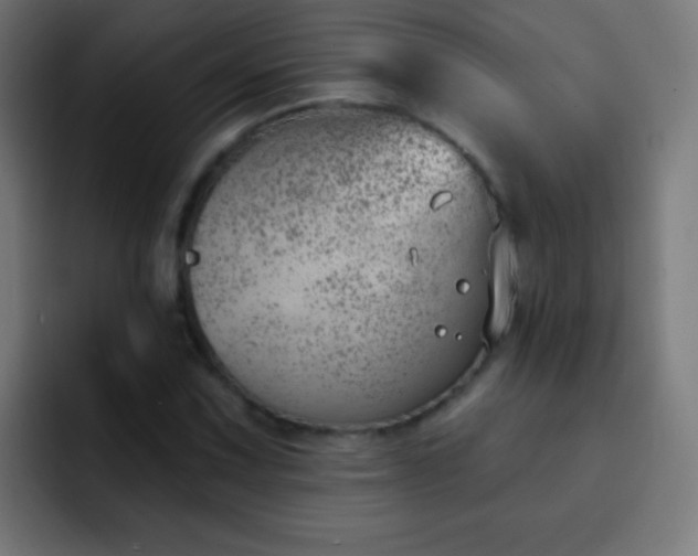 X0000093091067200710031808