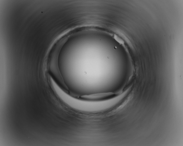 X0000093091069200710031808