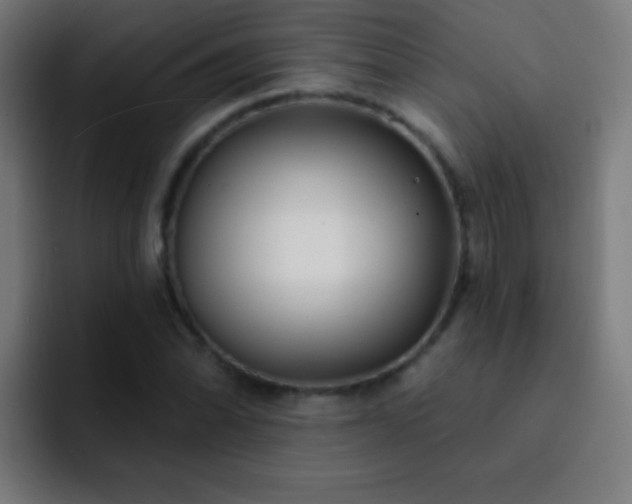 X0000093091070200710031808