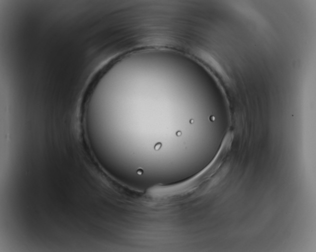 X0000093091071200710031808