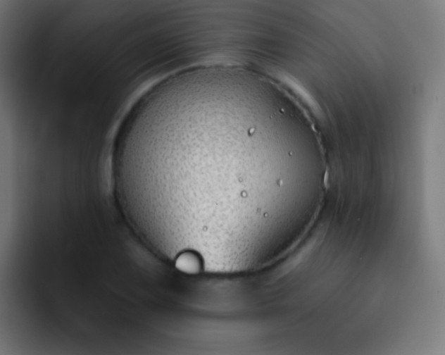 X0000093091075200710031808