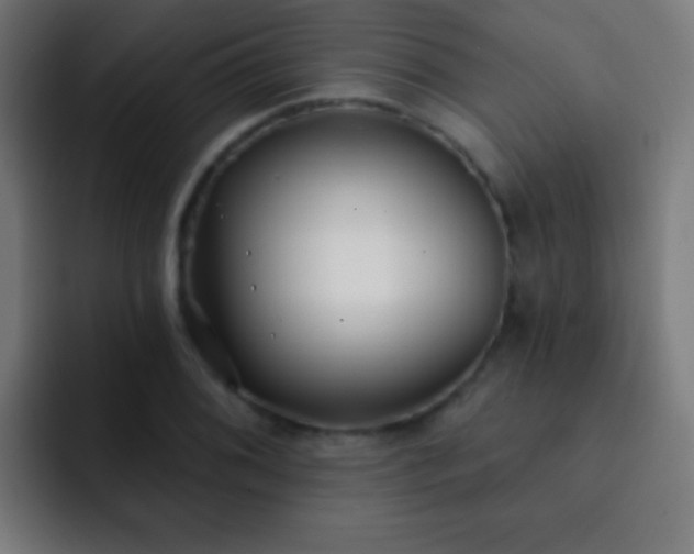 X0000093091076200710031808