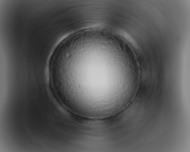 X0000093091079200710031808