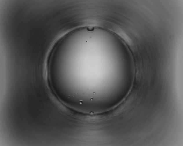 X0000093091080200710031808