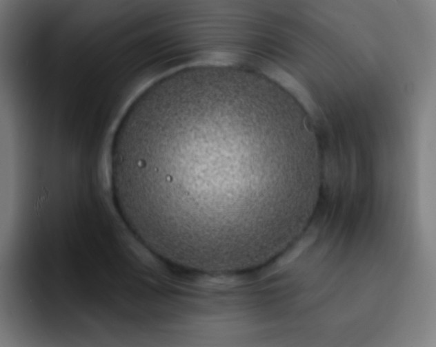 X0000093091083200710031807