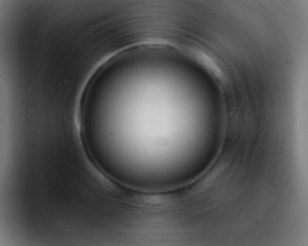 X0000093091084200710031807