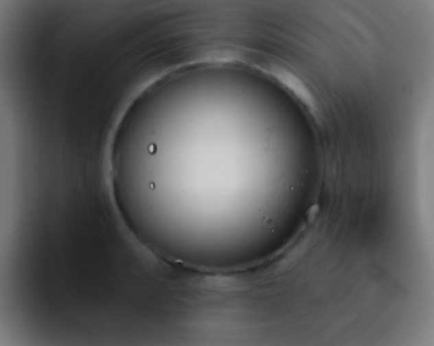 X0000093091088200710031807