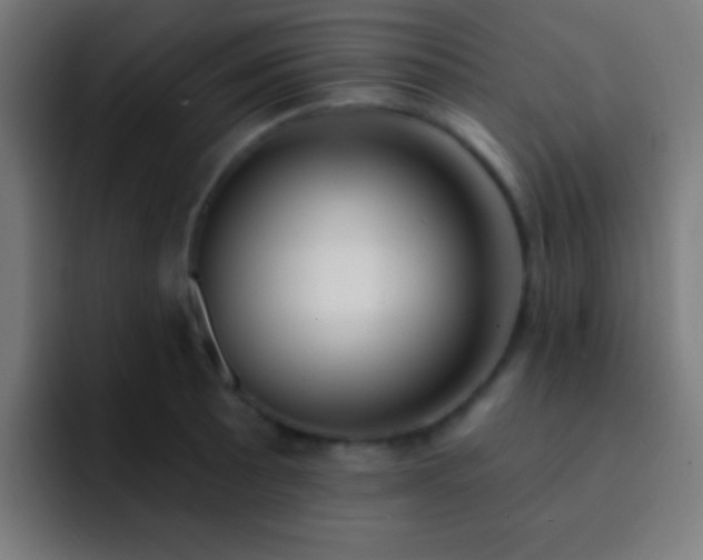 X0000093091089200710031807