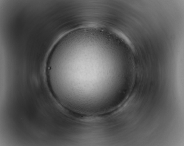 X0000093091091200710031807