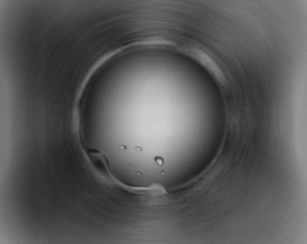 X0000093091092200710031807