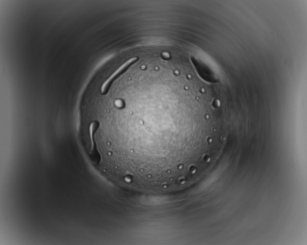 X0000093091095200710031807