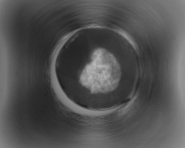 X0000093091097200710031807