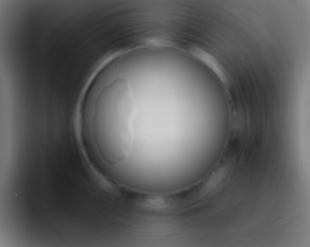 X0000093091098200710031807