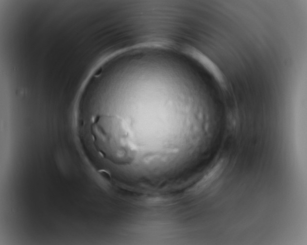 X0000093091099200710031807