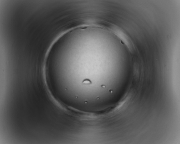 X0000093091100200710031807