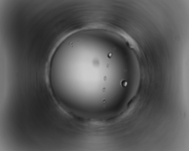 X0000093091102200710031807