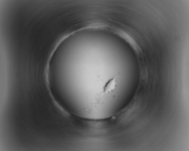 X0000093091103200710031807