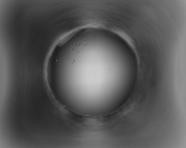 X0000093091104200710031807