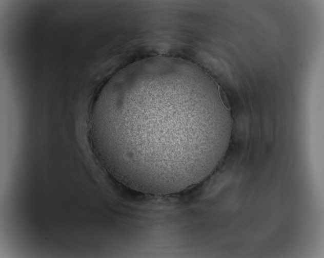 X0000093091105200710031807