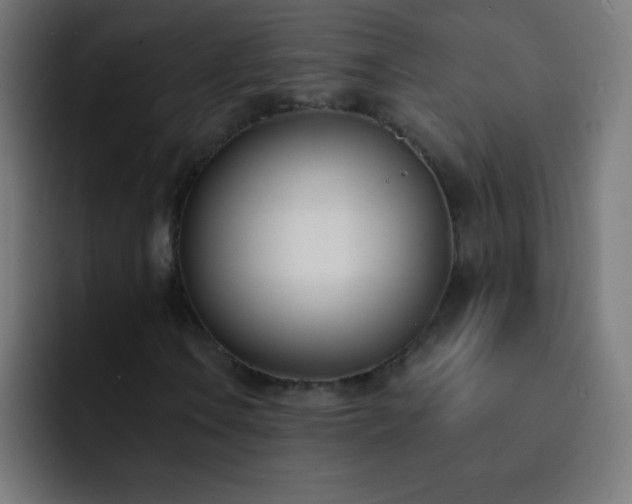 X0000093091106200710031807