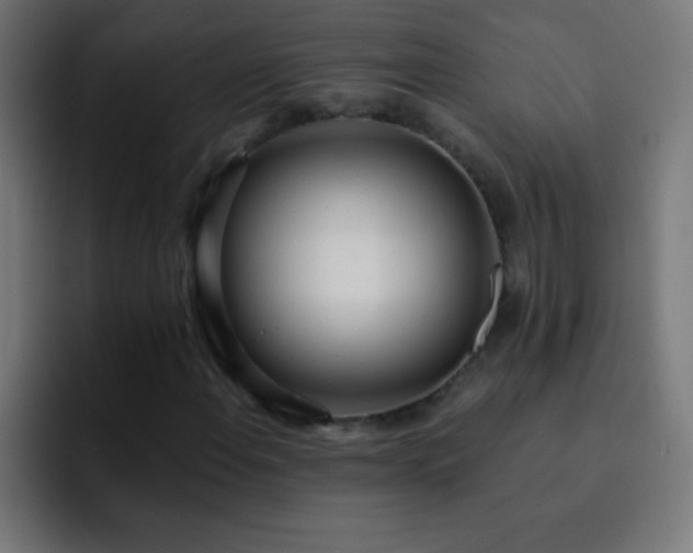 X0000093091108200710031807