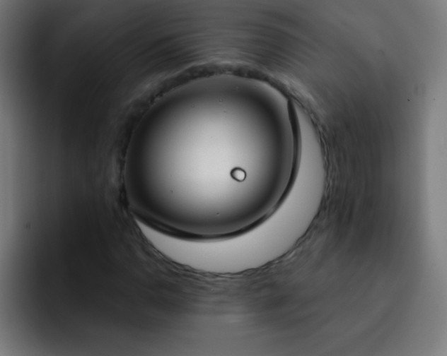 X0000093091110200710031807