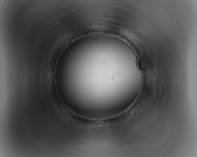 X0000093091111200710031807