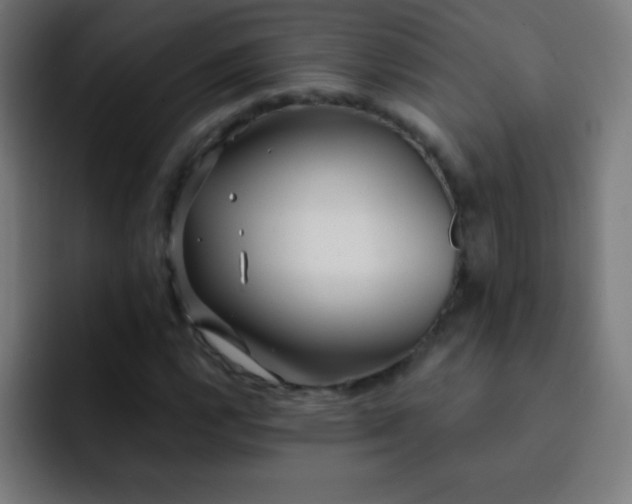 X0000093091112200710031807