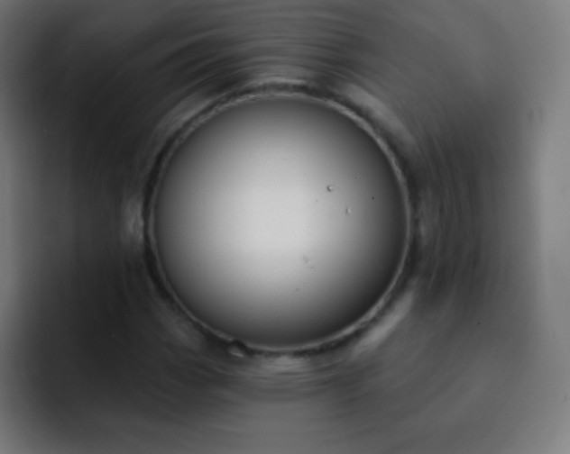 X0000093091113200710031807