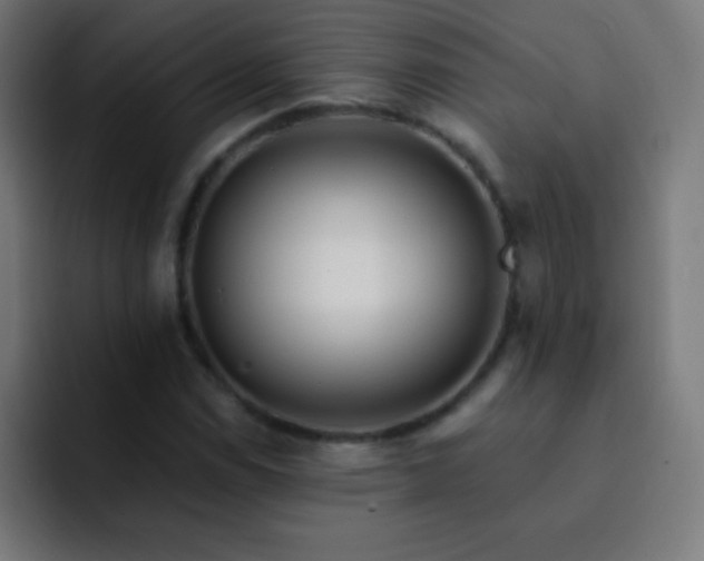 X0000093091114200710031807