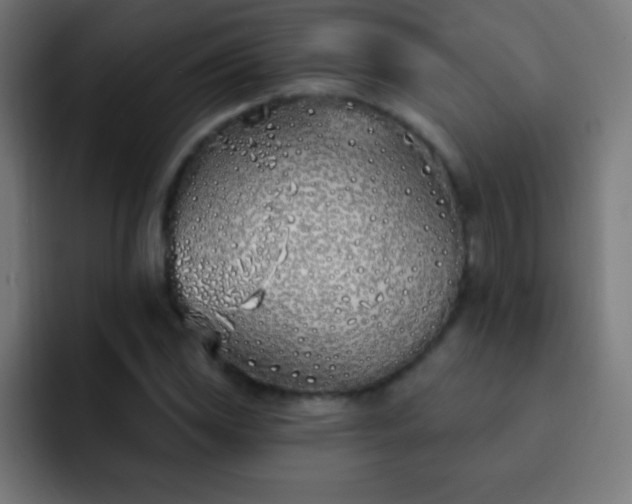 X0000093091117200710031807