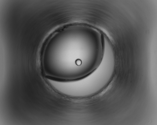 X0000093091118200710031807