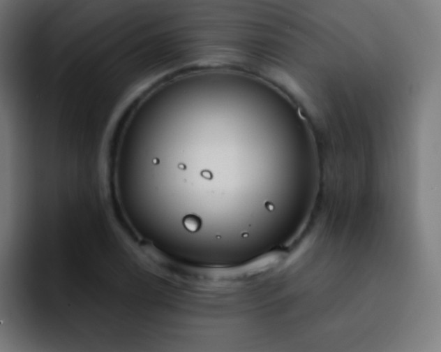 X0000093091122200710031807