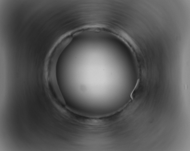 X0000093091124200710031807