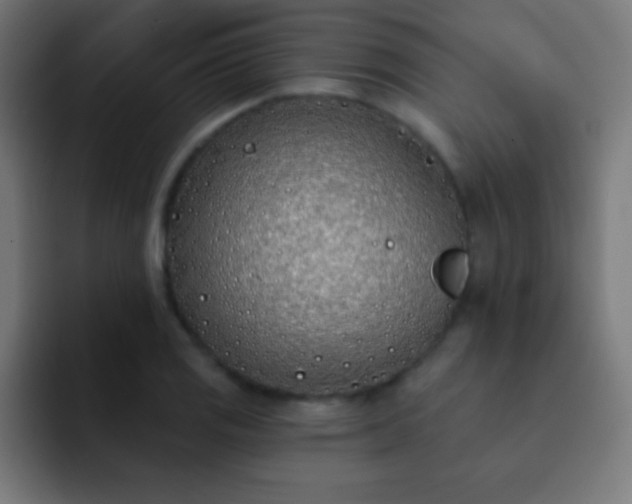 X0000093091125200710031807